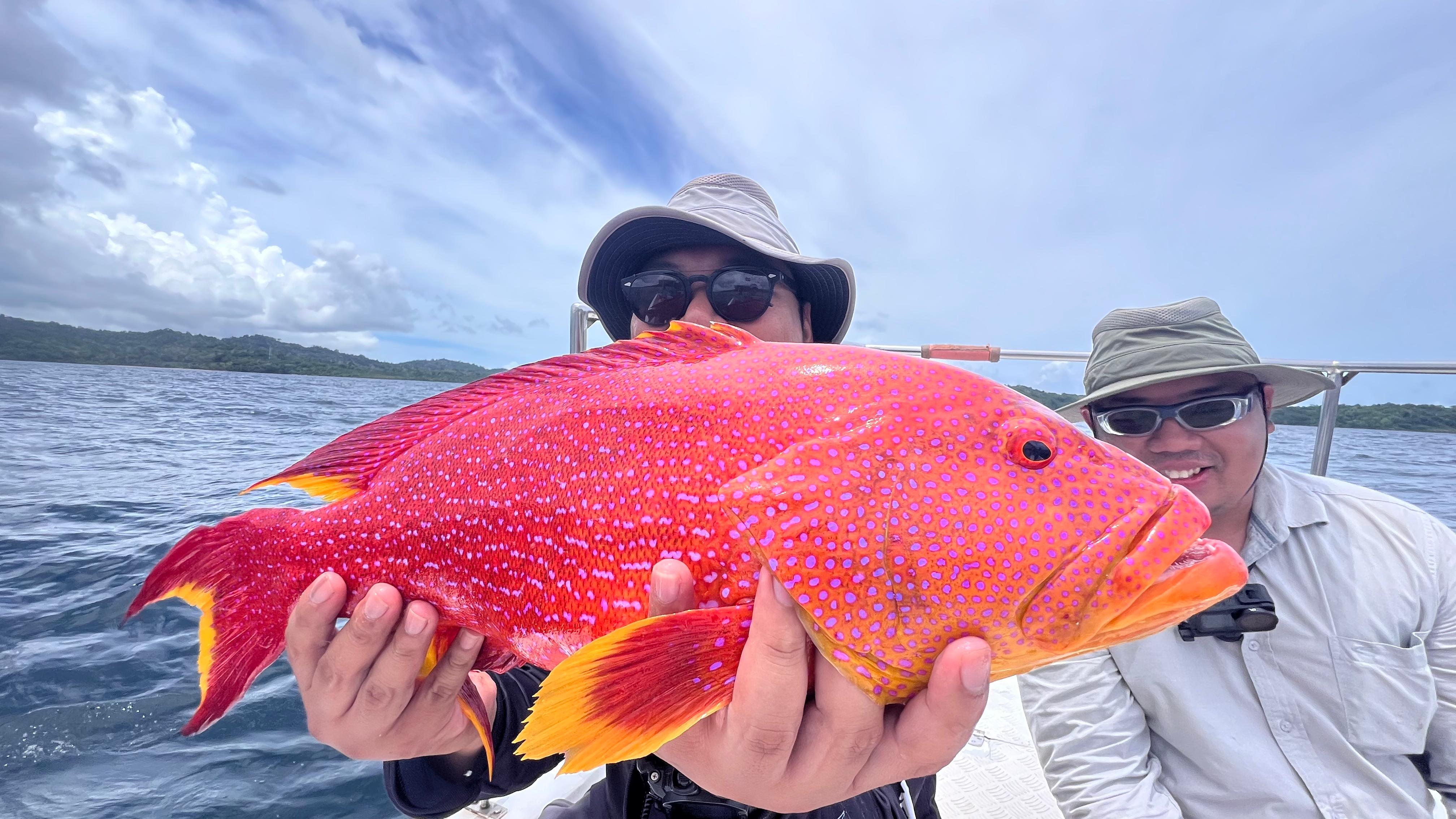 Solo Angler Trips
